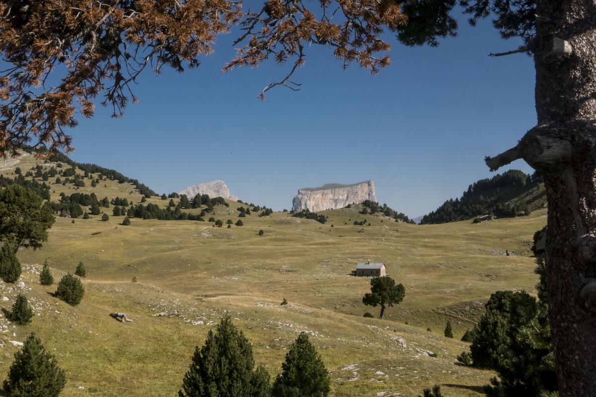 https://rochecourbeescapade.fr/storage/photos_club/2020/dia131.jpg