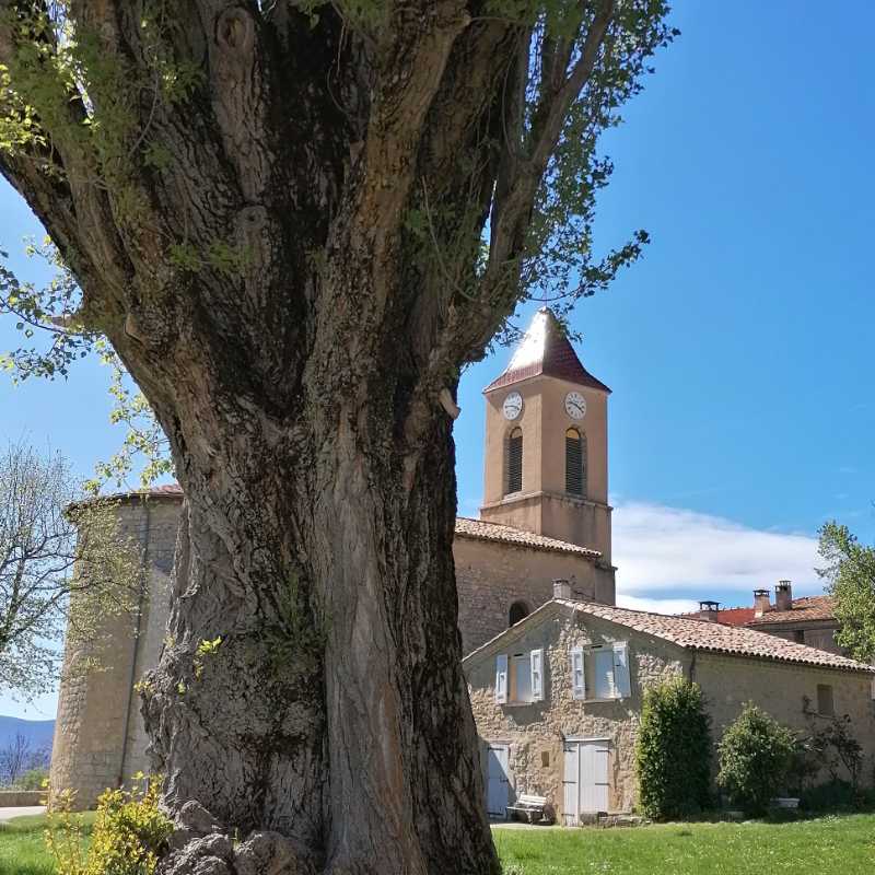 https://rochecourbeescapade.fr/storage/photos_club/2020/dia14078.jpg