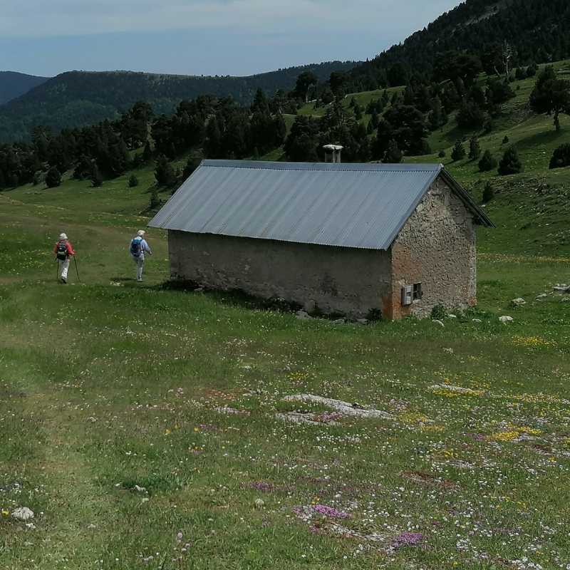 https://rochecourbeescapade.fr/storage/photos_club/2020/dia15145.jpg