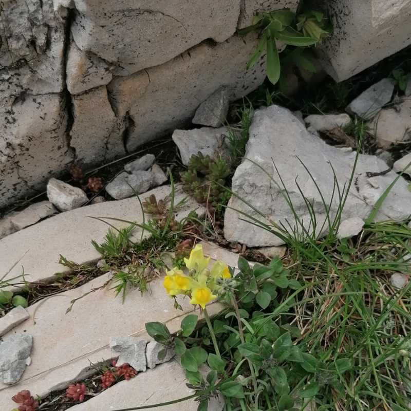 https://rochecourbeescapade.fr/storage/photos_club/2020/dia15202.jpg