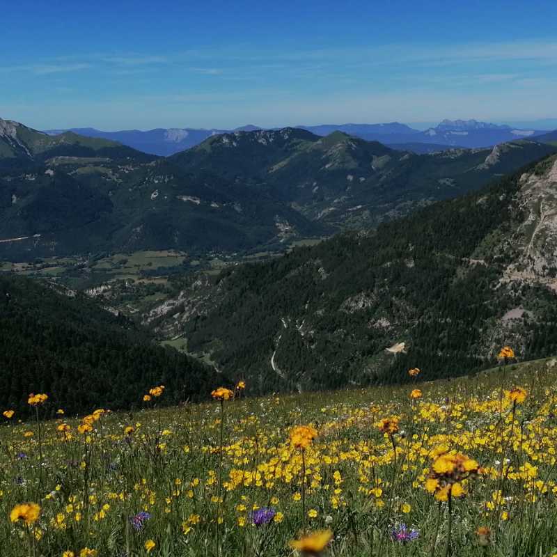 https://rochecourbeescapade.fr/storage/photos_club/2020/dia15289.jpg