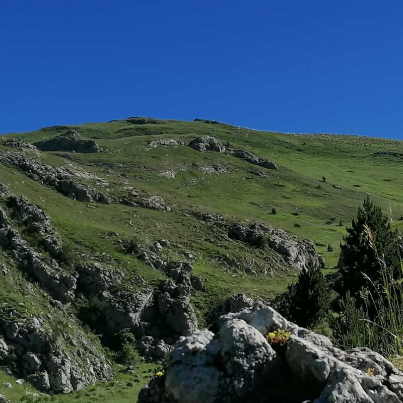 https://rochecourbeescapade.fr/storage/photos_club/2020/dia15296.jpg