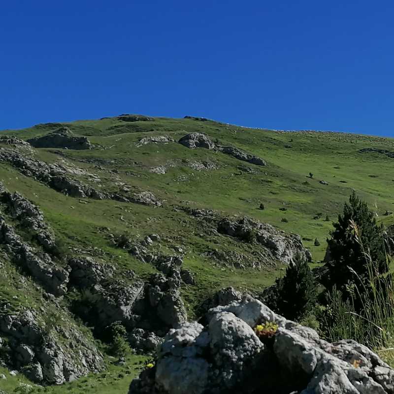 https://rochecourbeescapade.fr/storage/photos_club/2020/dia15297.jpg