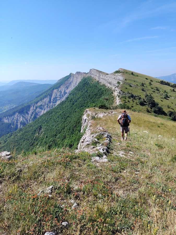 photo absente