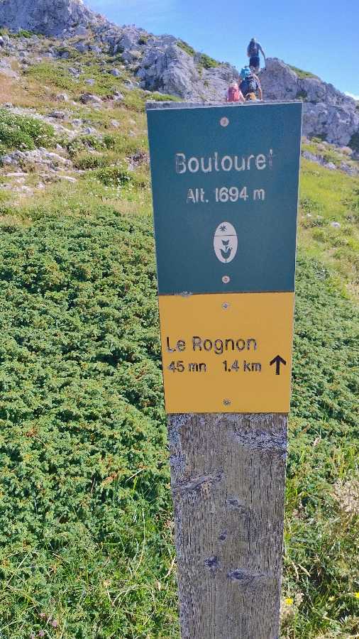 photo absente