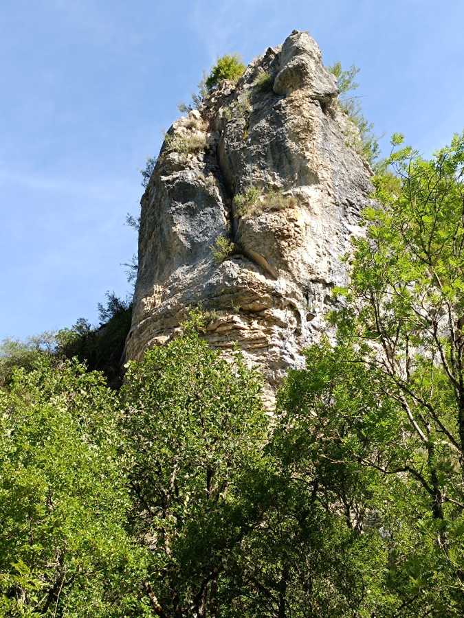 photo absente