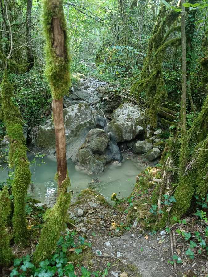 photo absente