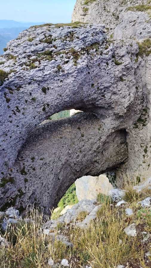 photo absente