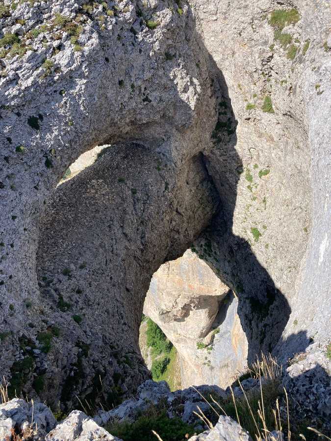 photo absente