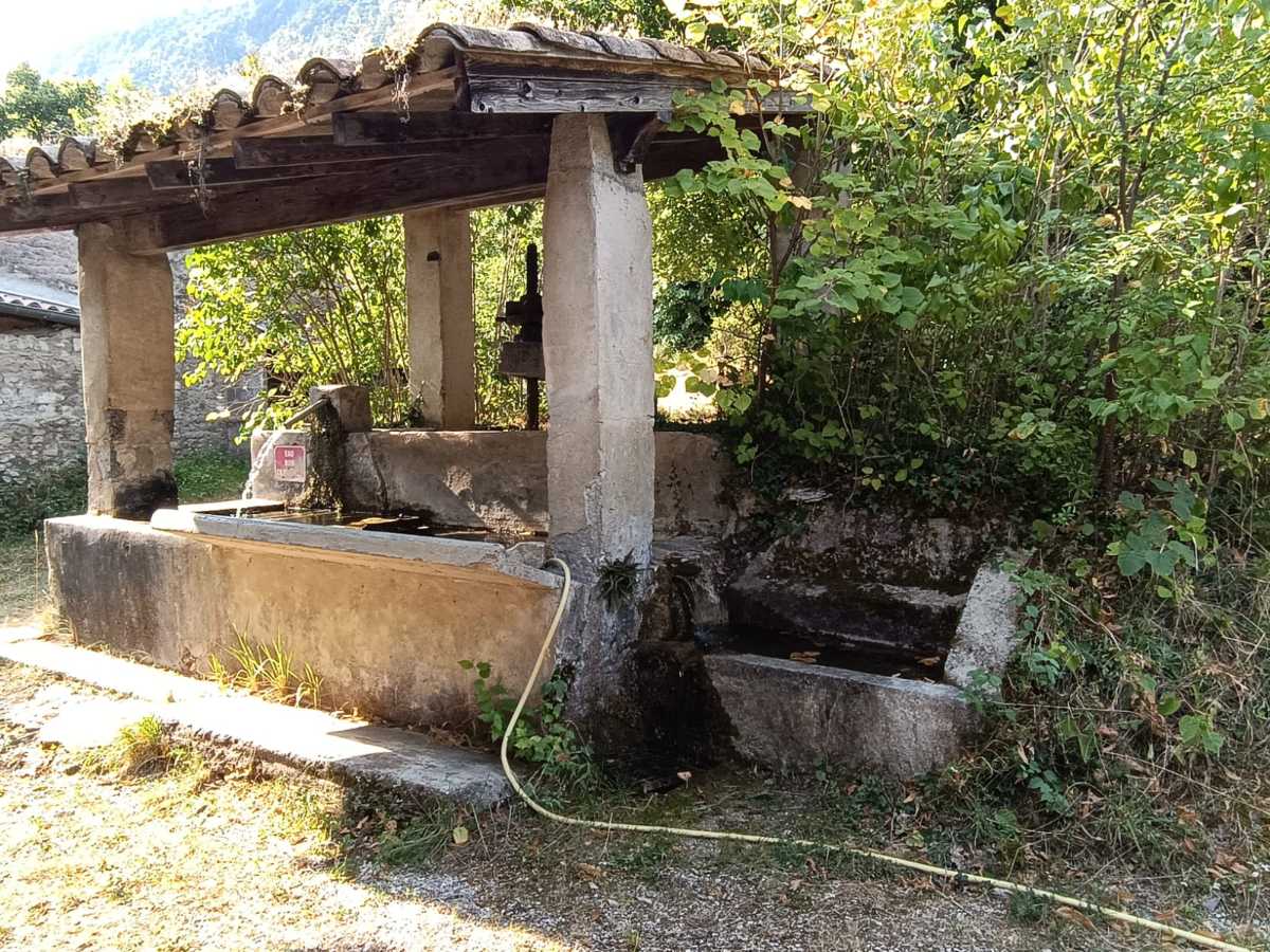 photo absente
