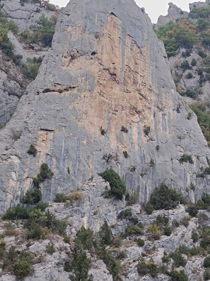 photo absente