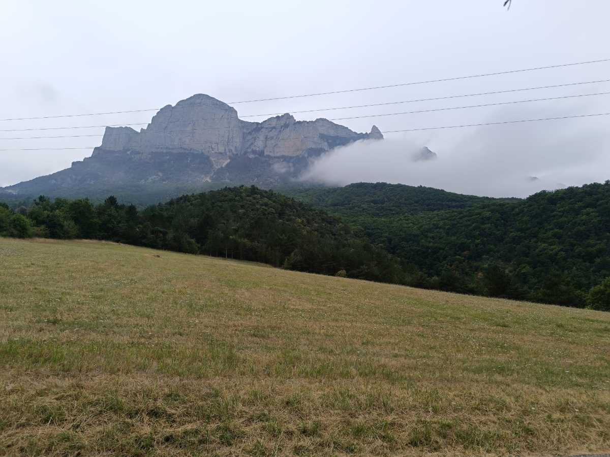 photo absente