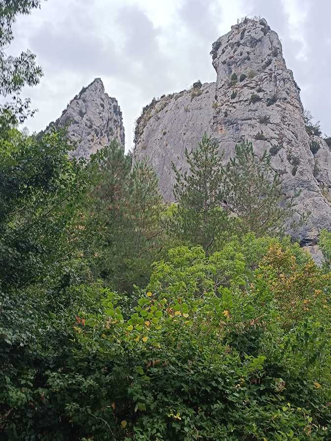 photo absente