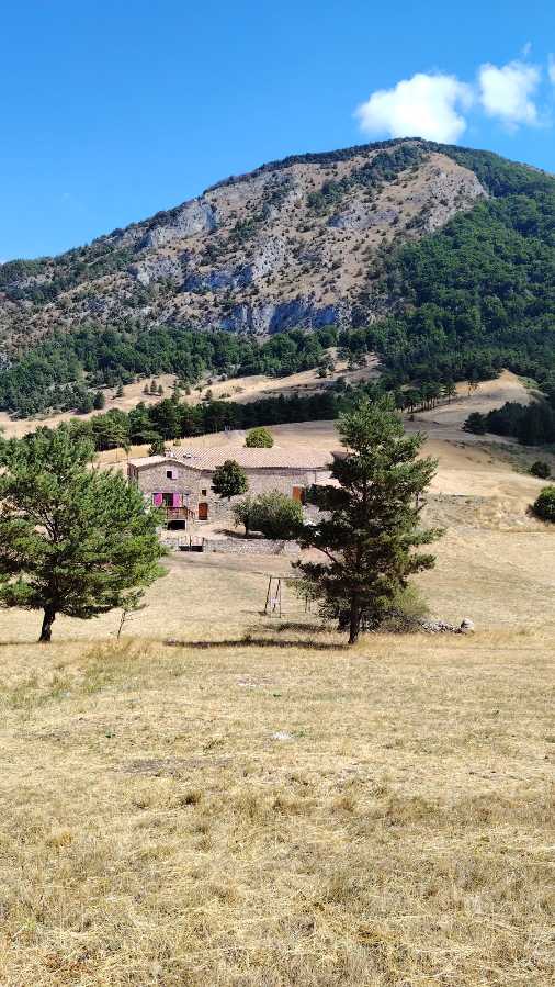 photo absente