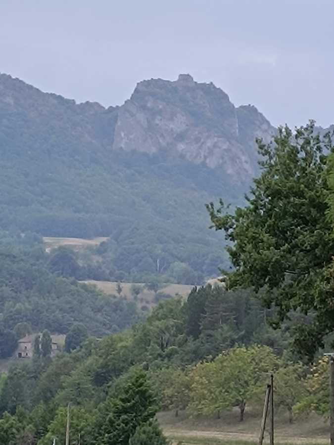 photo absente