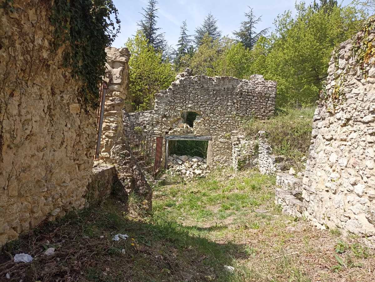 photo absente
