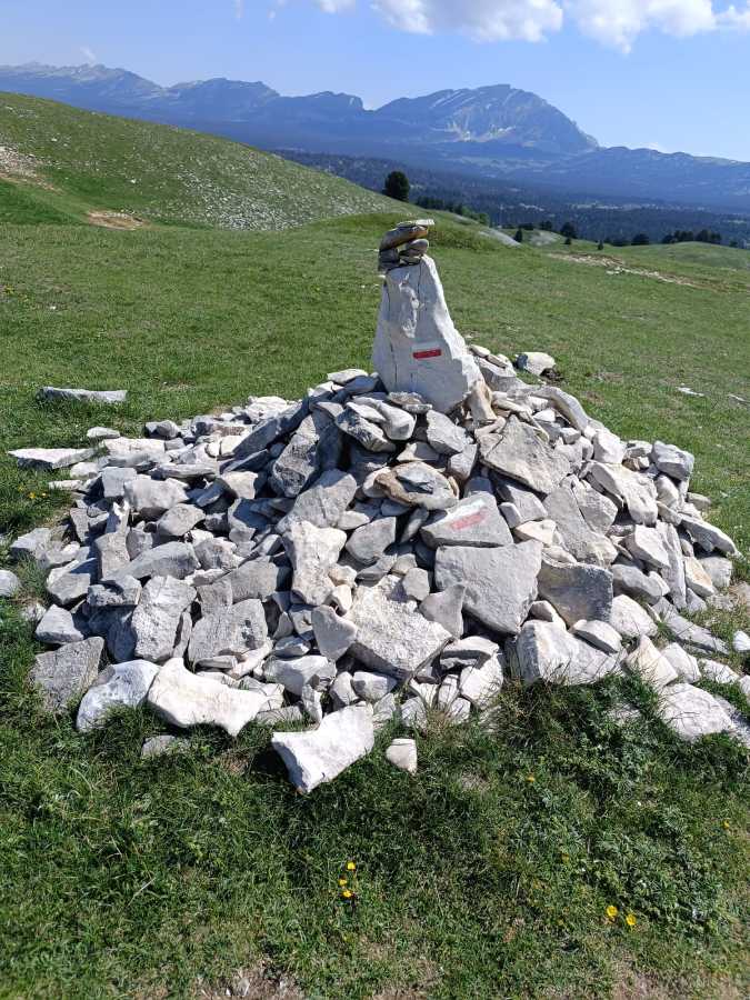 photo absente