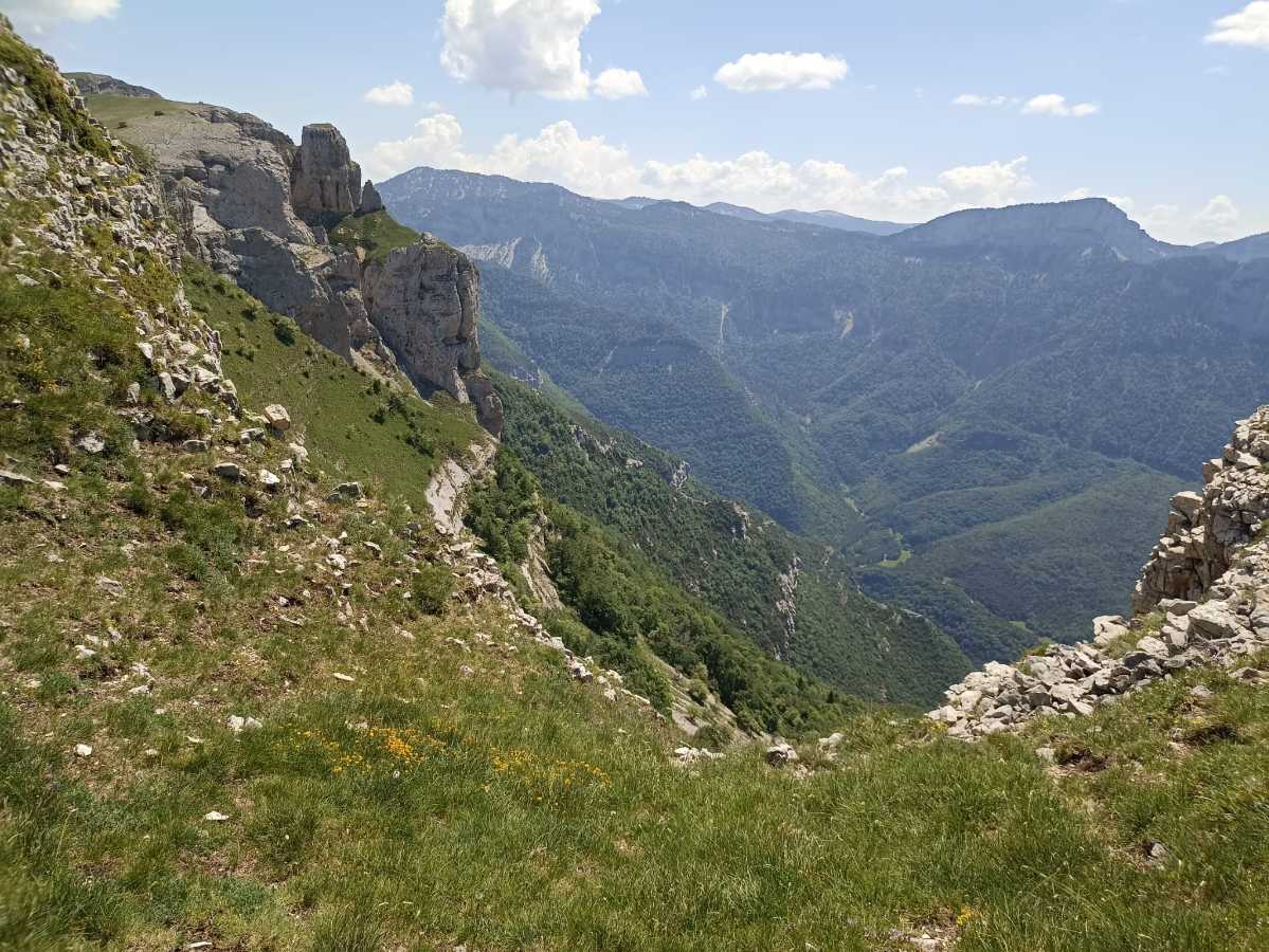 photo absente