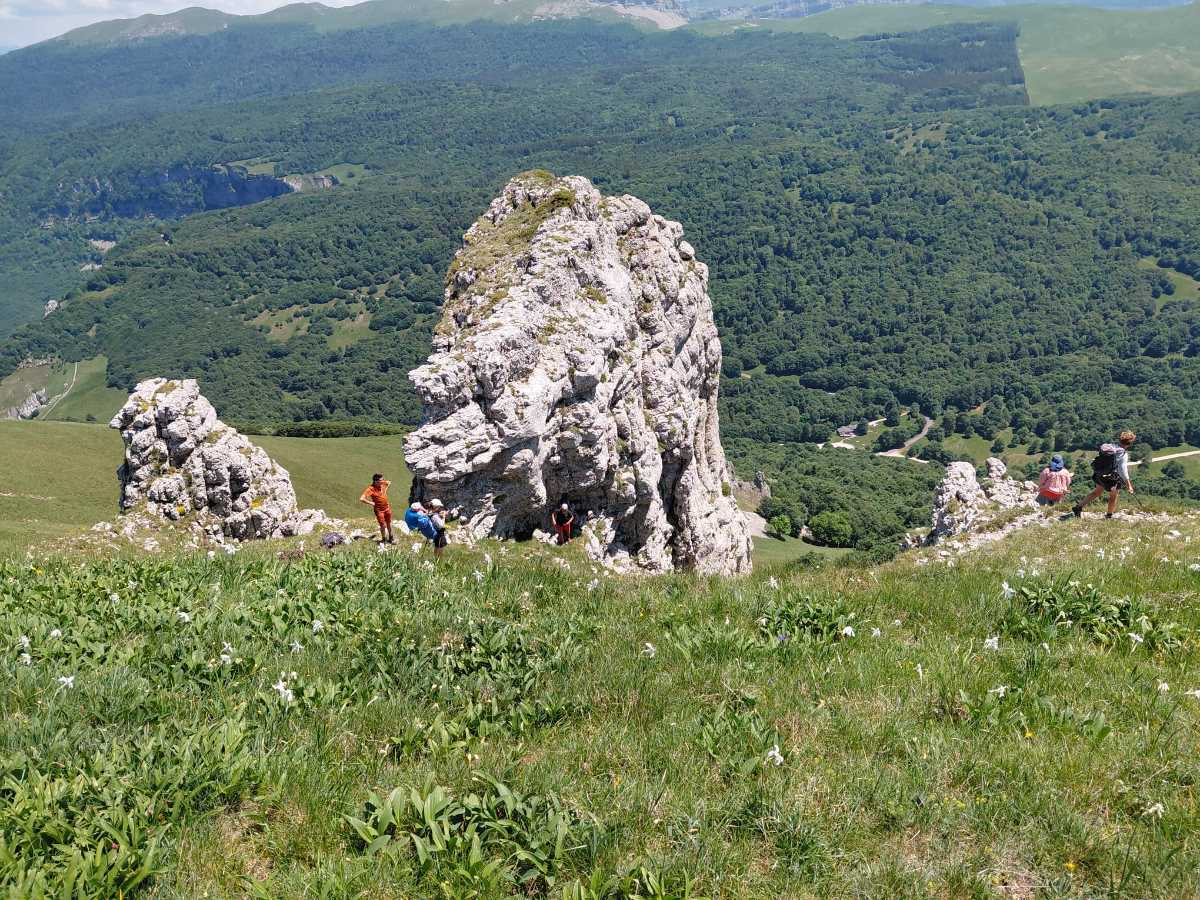 photo absente