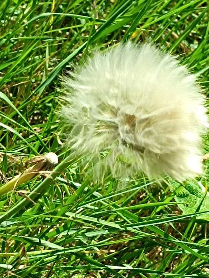 Erreur affichage