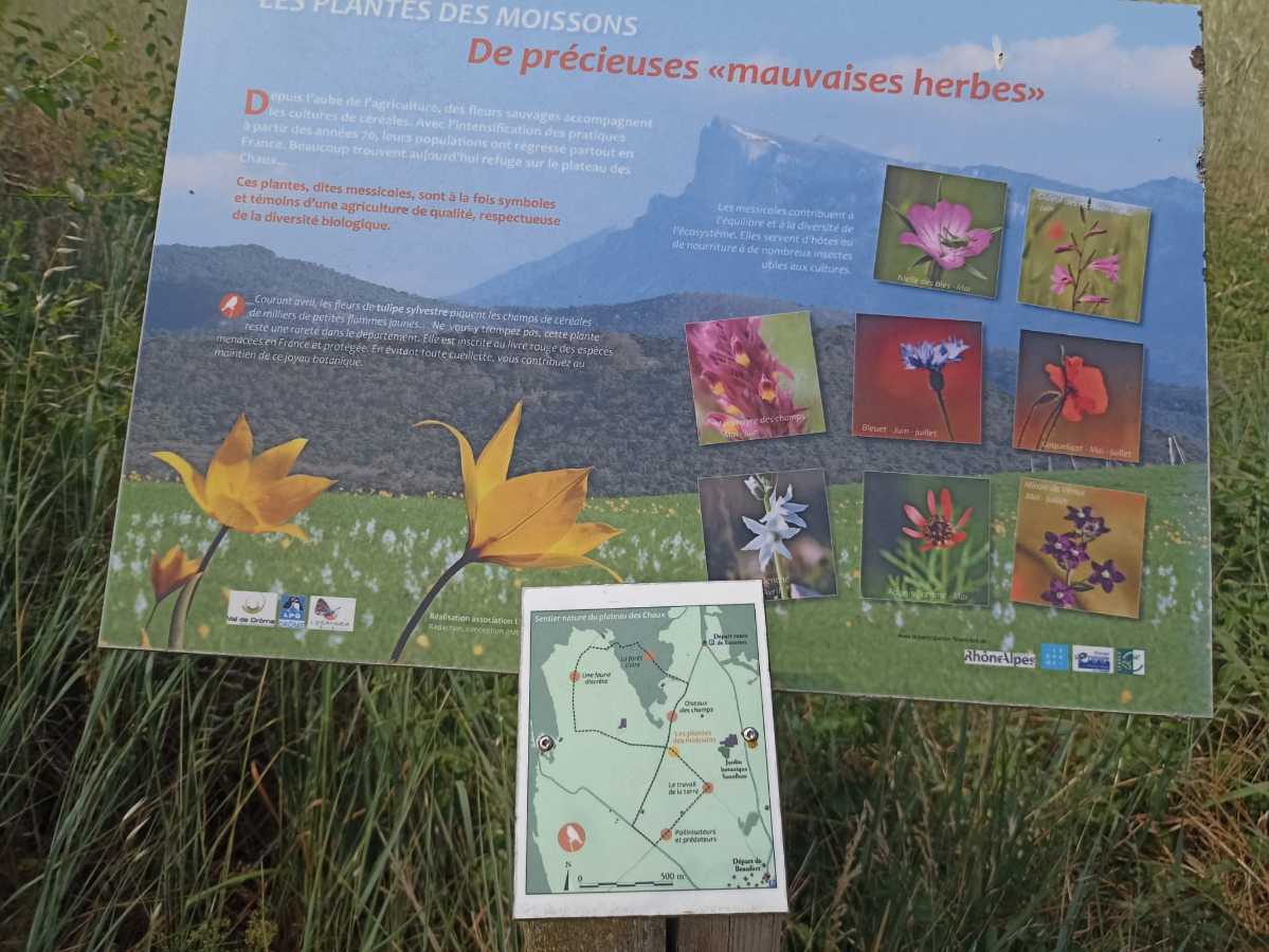 Erreur affichage