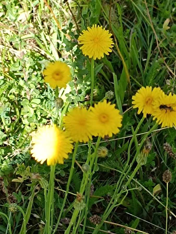 Erreur affichage