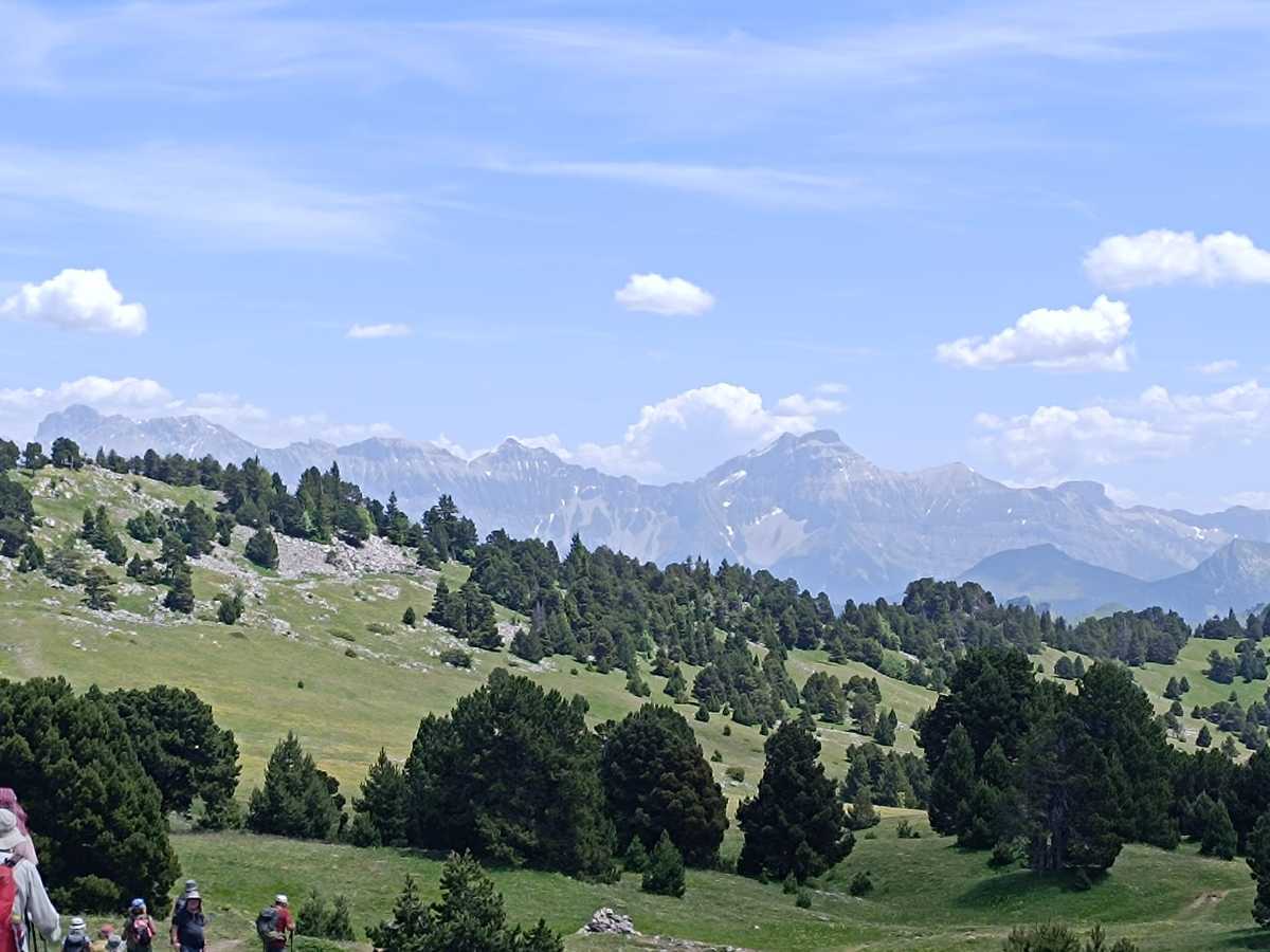 photo absente