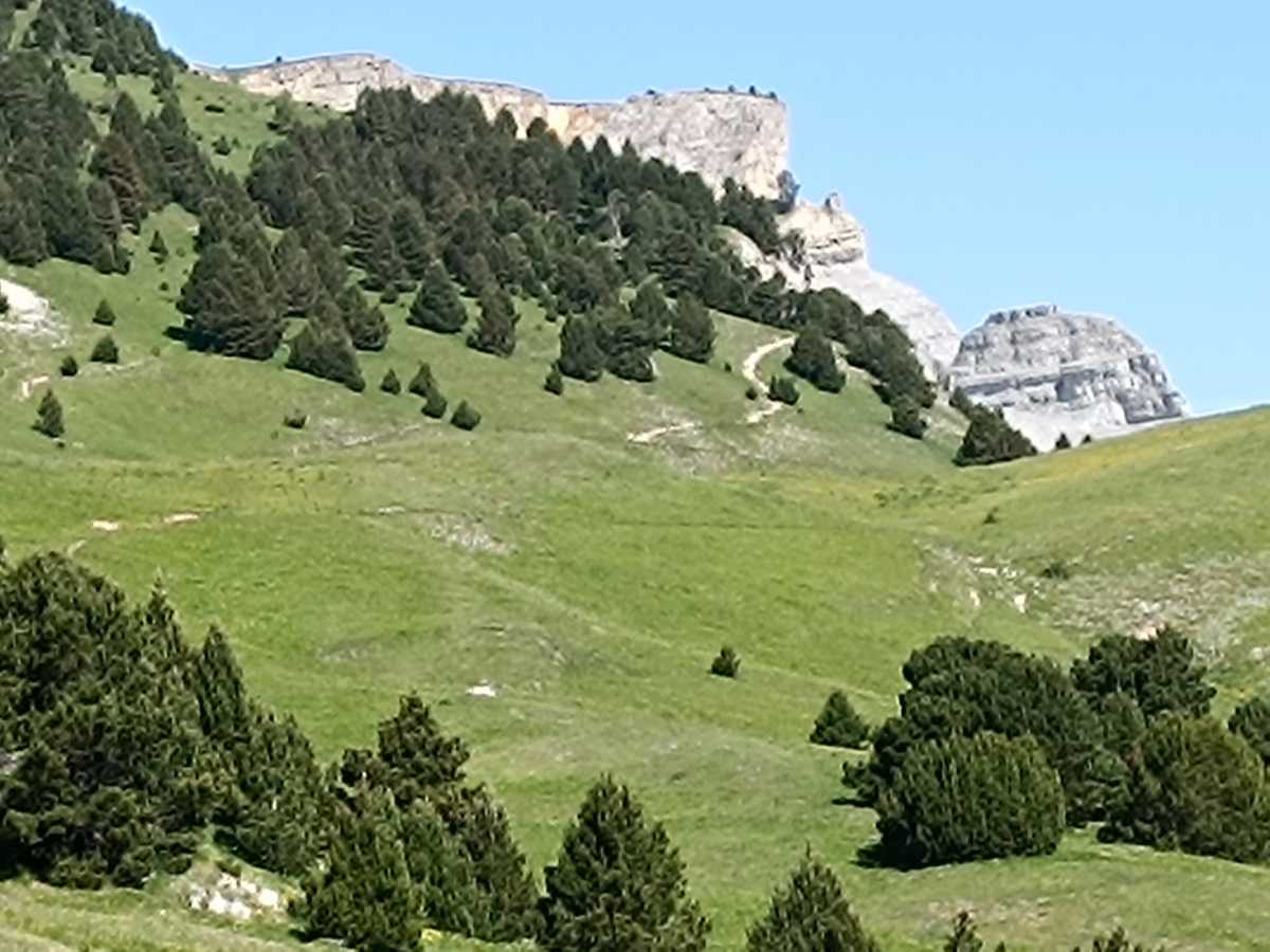 photo absente