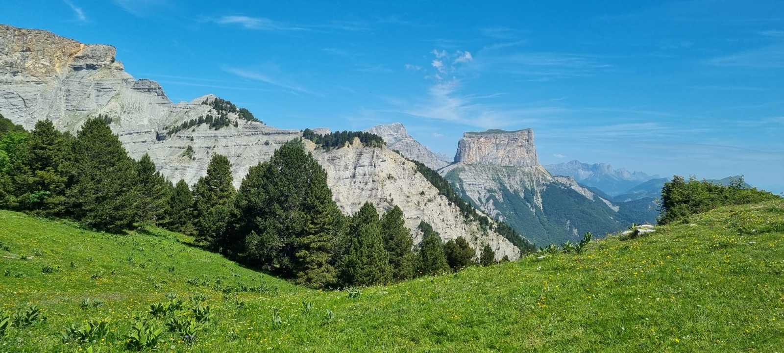 photo absente