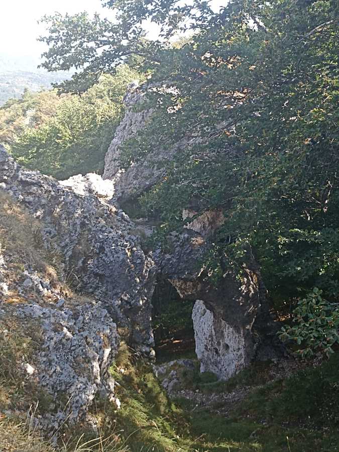 photo absente