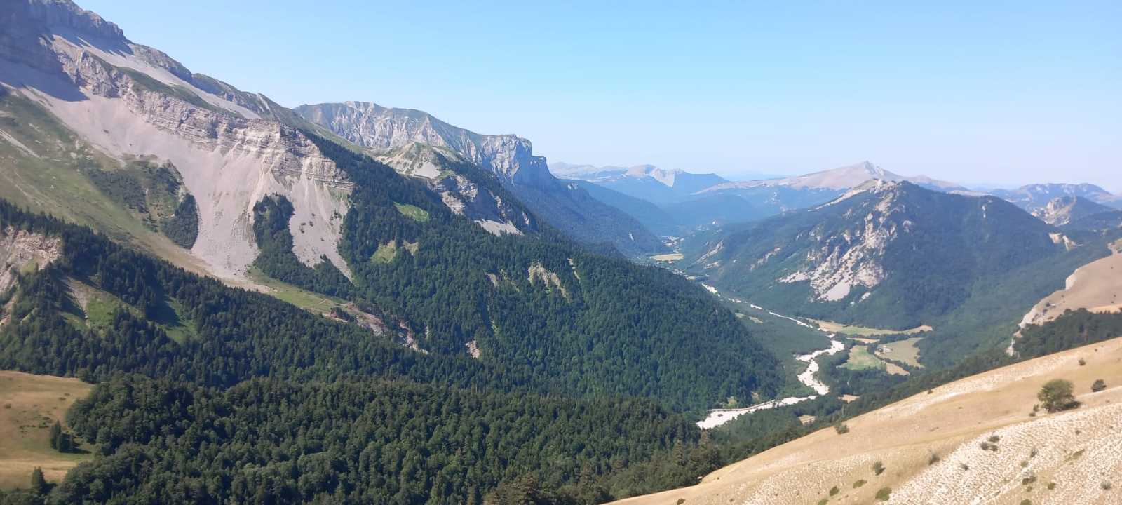 photo absente