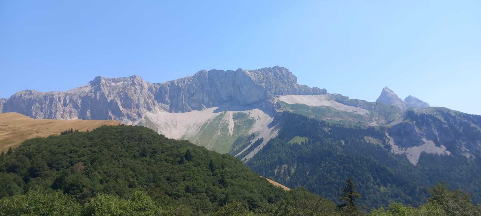 photo absente