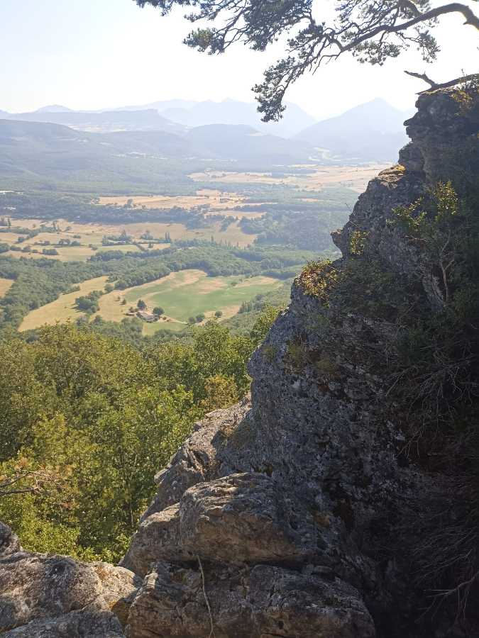 photo absente