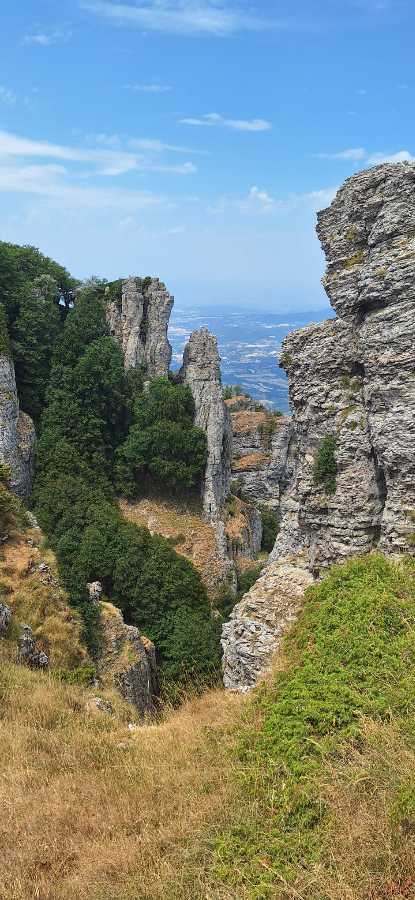 photo absente