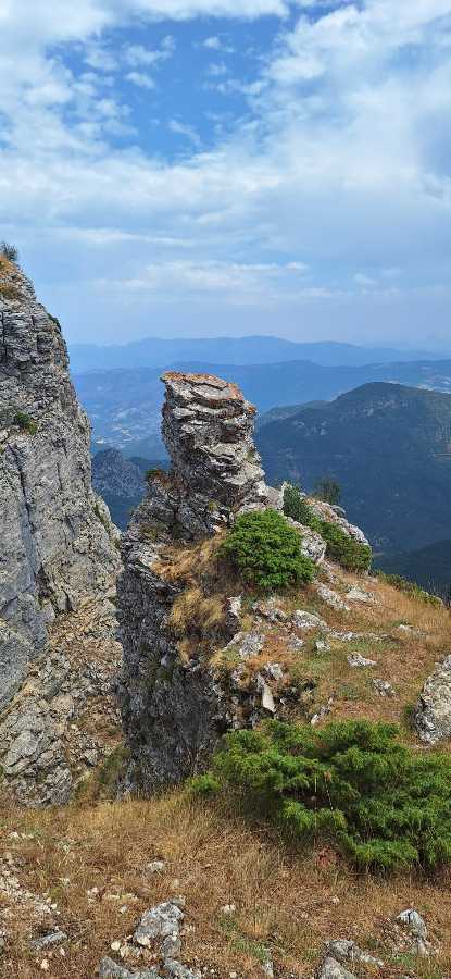 photo absente