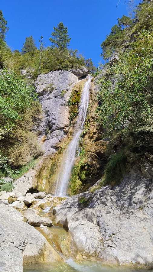 photo absente