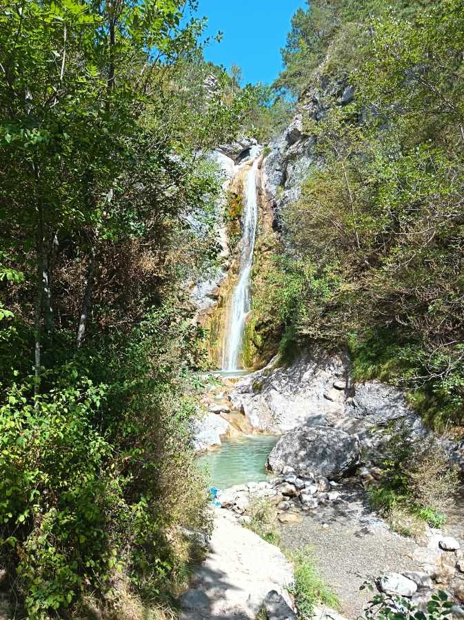 photo absente