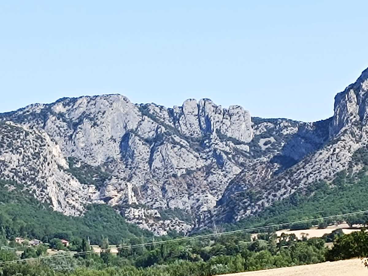 photo absente