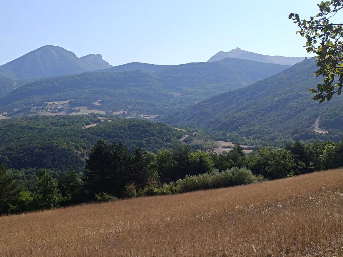 photo absente