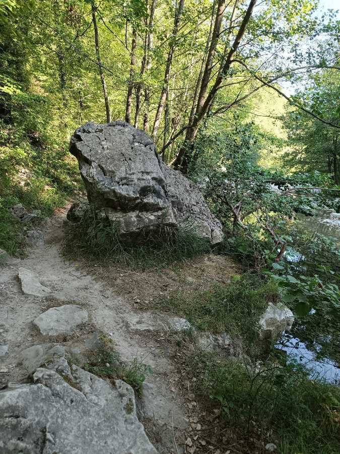 photo absente