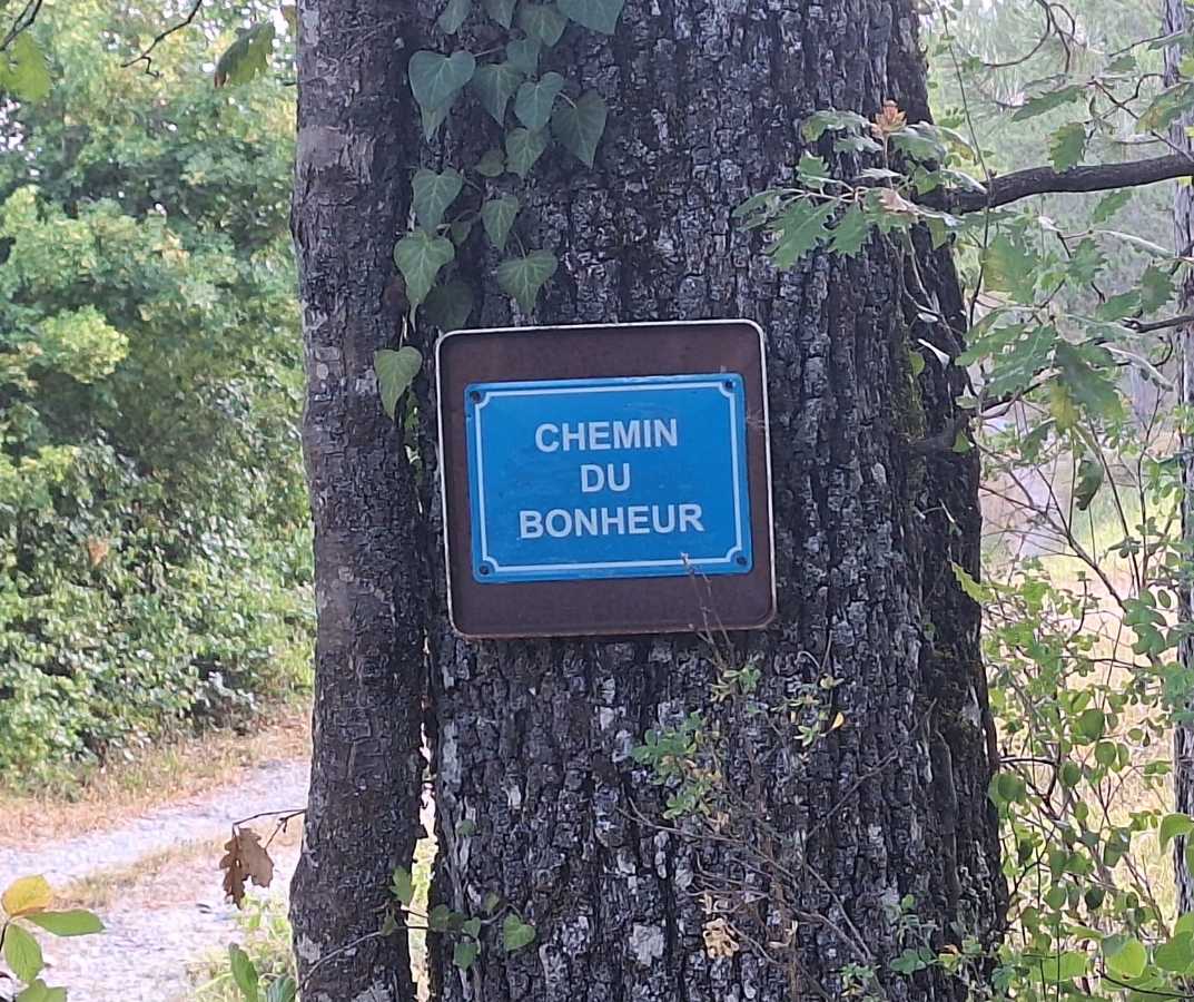 photo absente