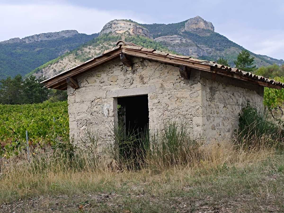 photo absente