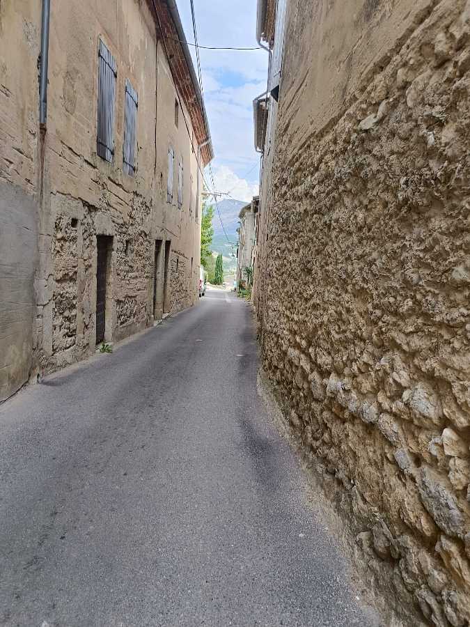 photo absente