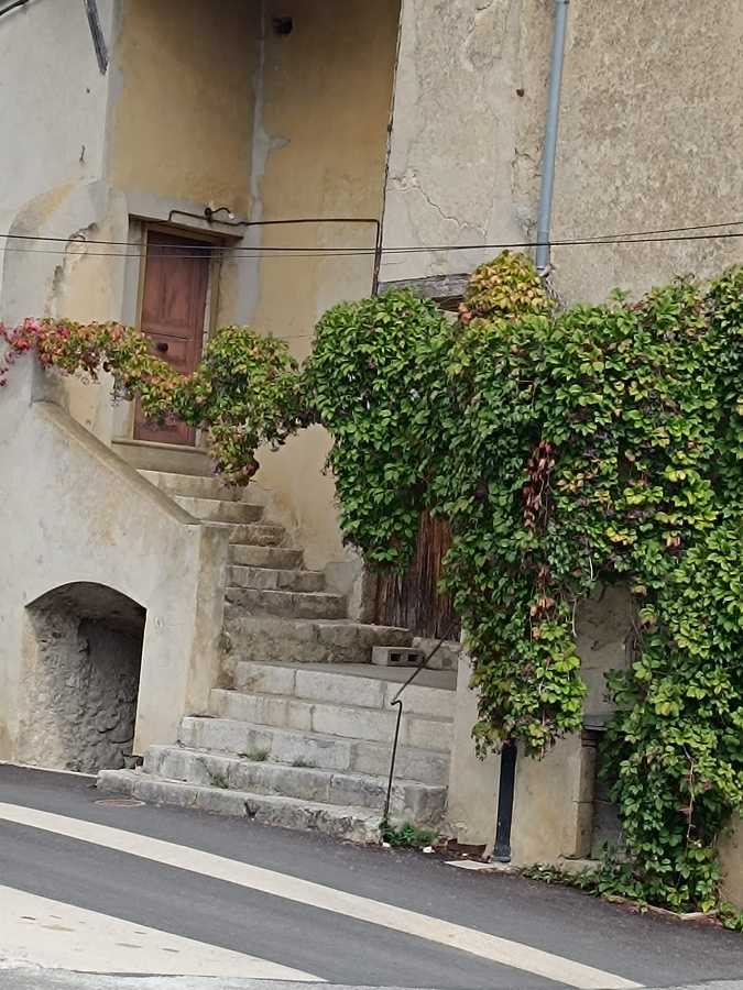 photo absente