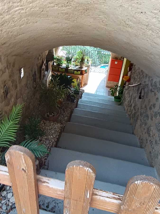photo absente