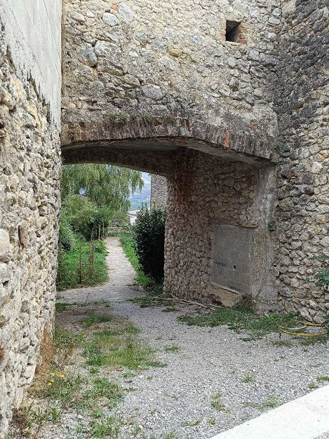 photo absente