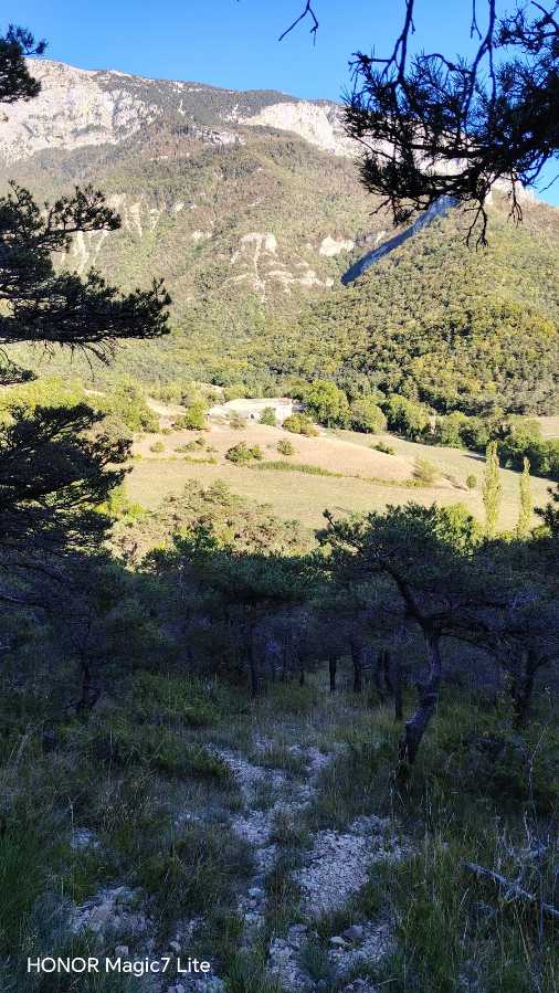 photo absente