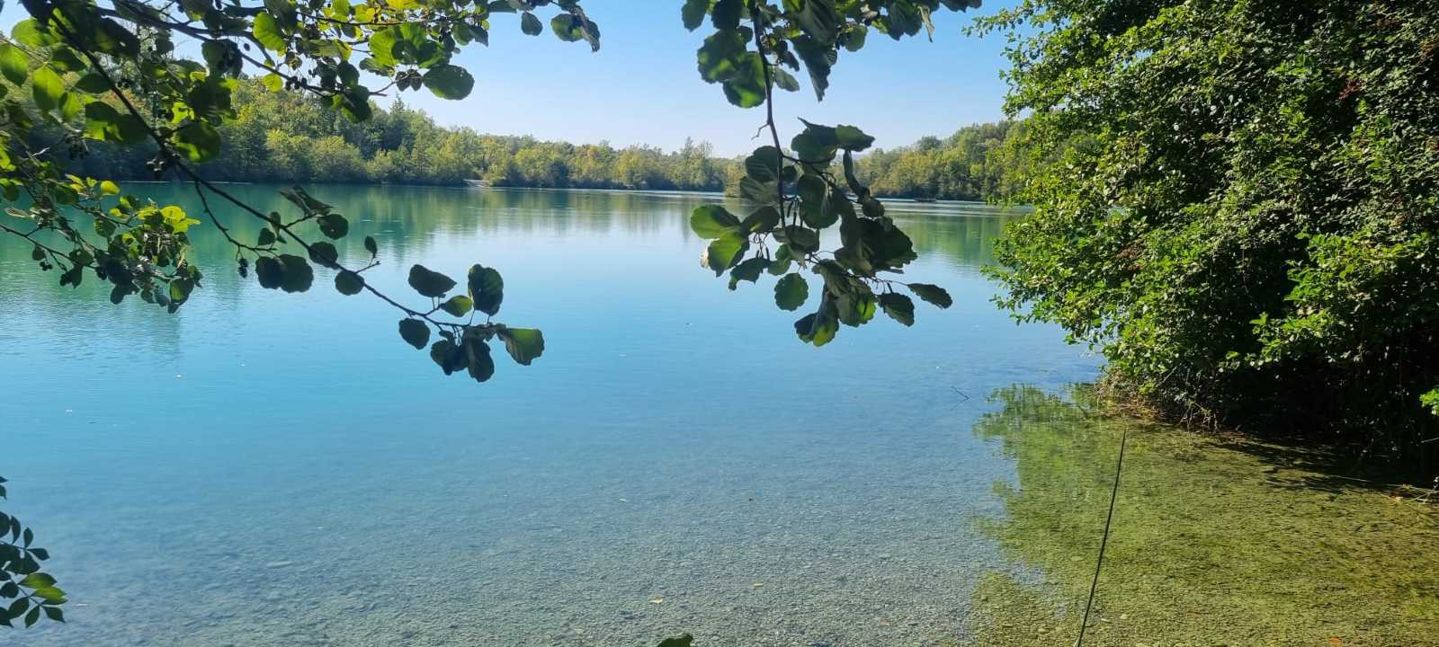 photo absente