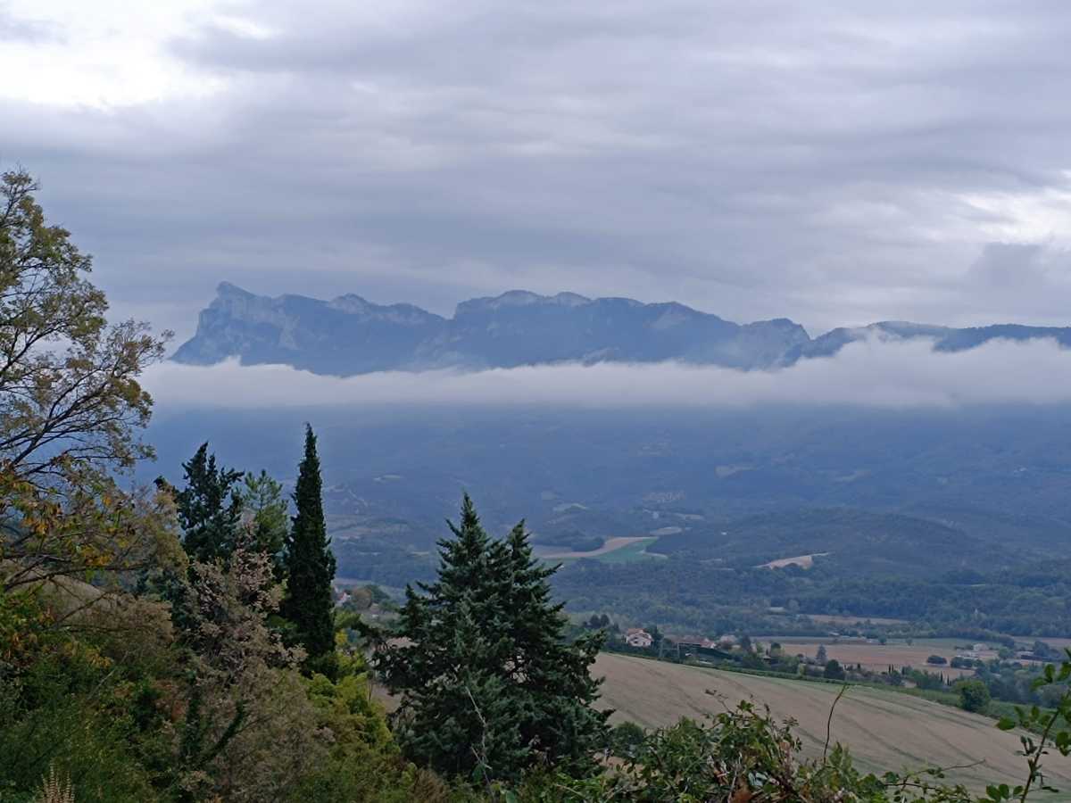 photo absente