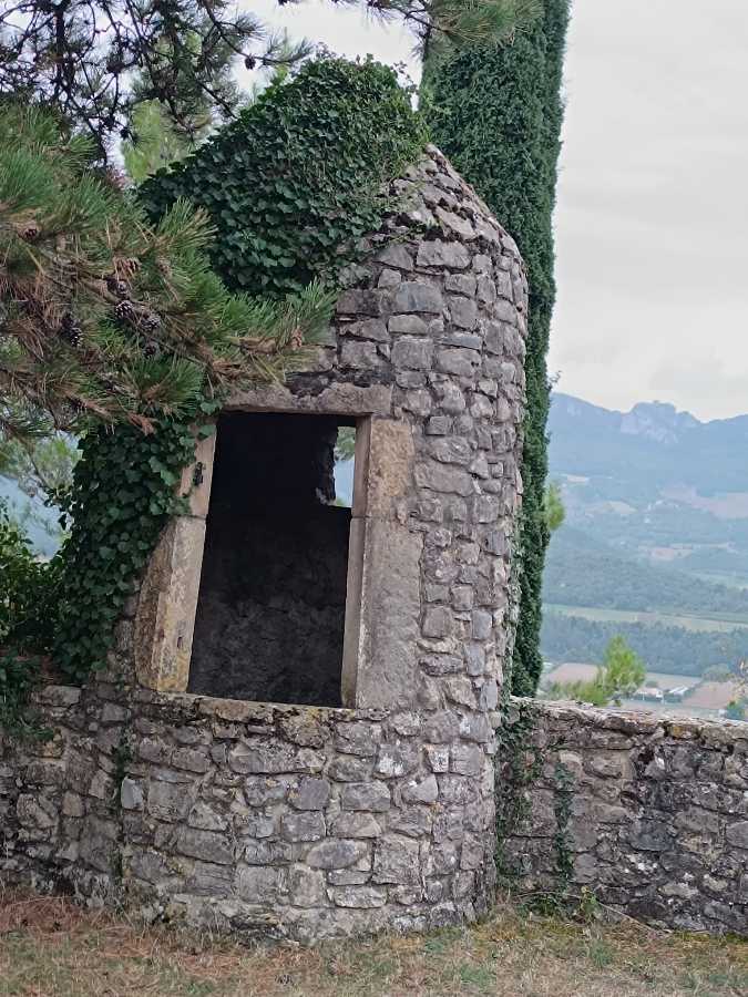 photo absente
